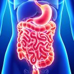 super-saudavel-materia-da-edicao-analise-do-lcs-na-consistencia-fisica-das-fezes Função intestinal