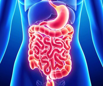 Função intestinal
