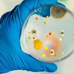 super-saudavel-materia-da-edicao-novidade-para-detectar-patogenos Bactérias resistentes a antibióticos