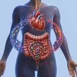 Doenças cardiovasculares