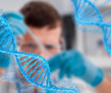 Microrganismos probióticos