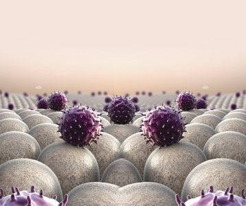 Microrganismos e sua influência no sistema imune
