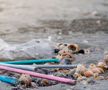 Microplásticos no cérebro