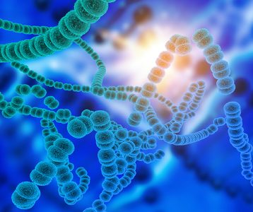 Microbioma humano