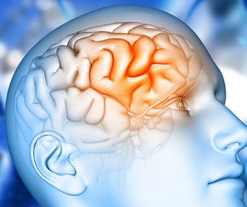 Córtex pré-frontal recupera funcionalidade